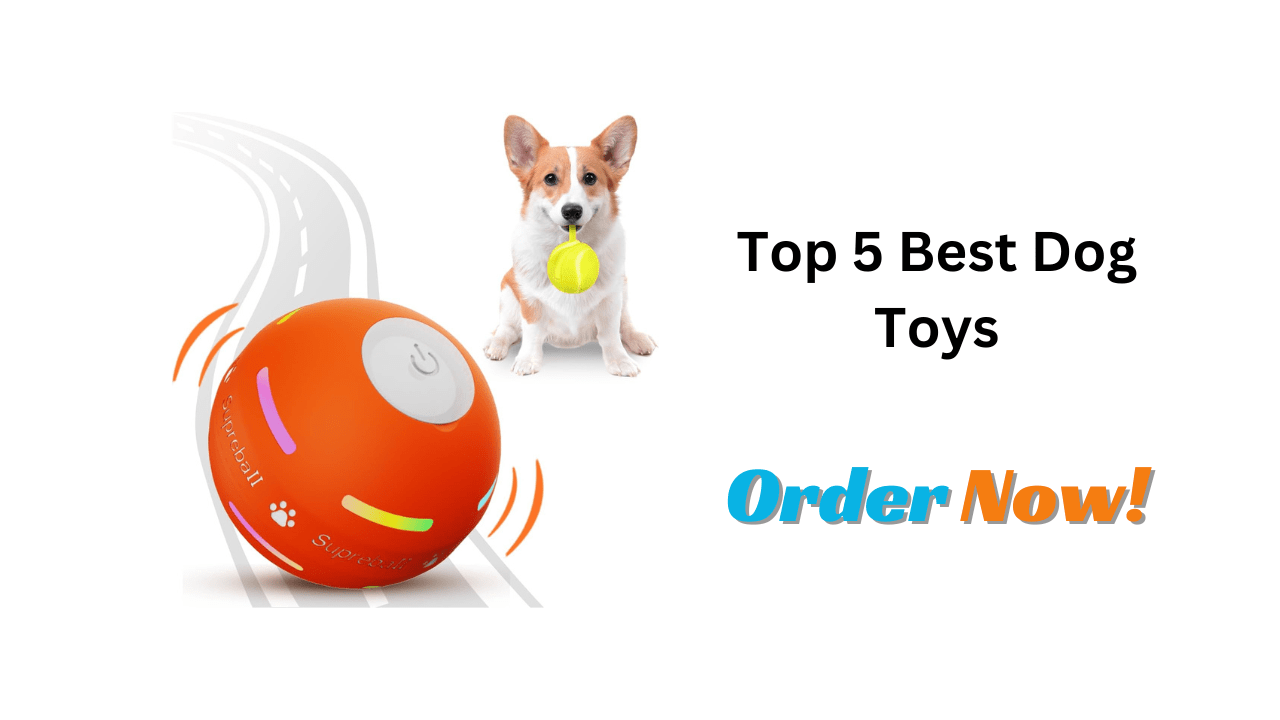Top 5 Best Dog Toys