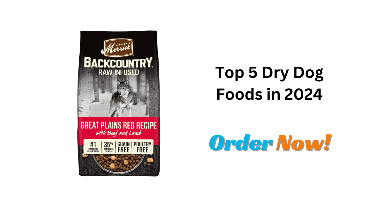 Top 5 Dry Dog Foods in 2024