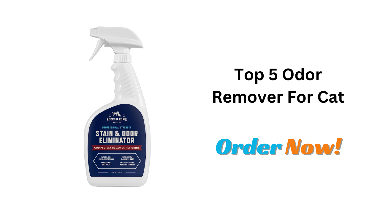 Top 5 Odor Remover For Cat