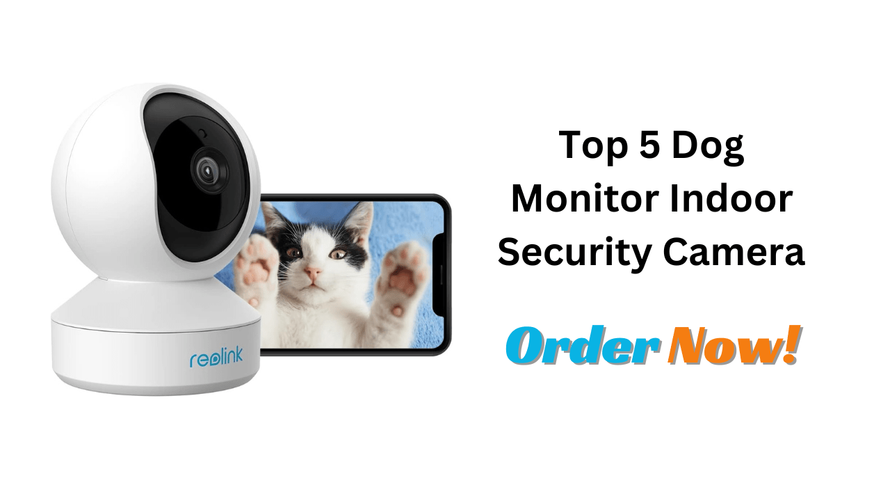 Top 5 Dog Monitor Indoor Security Camera